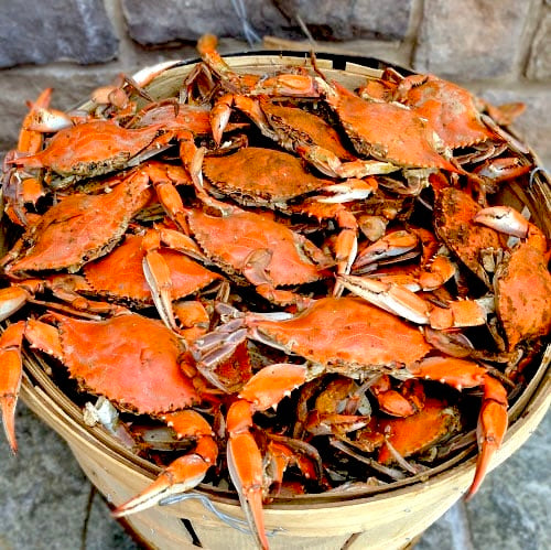 Cajun Boiled Blue Crab Hard Shell full body 1 Dozen xtra large