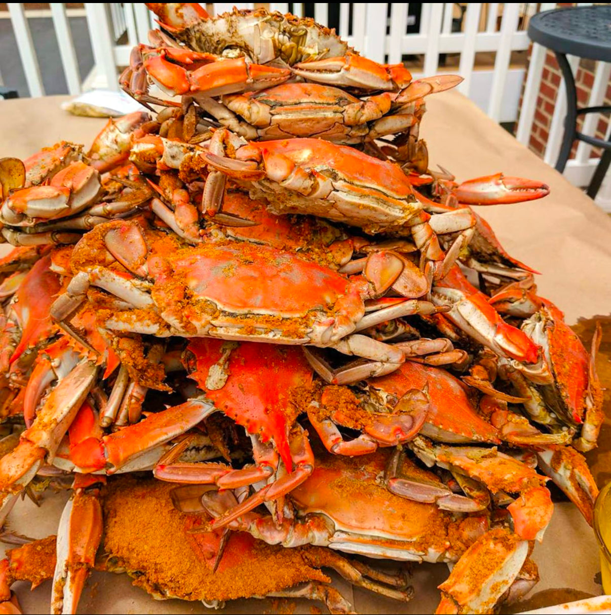 Hammers! Our Biggest Blue Crab!!!!